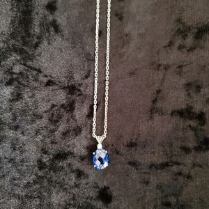 ♦️NWOT Silver & Sapphire Necklace